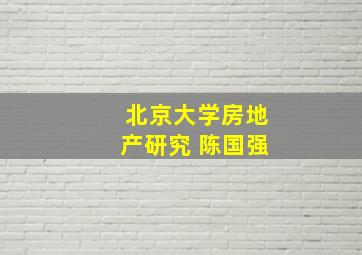 北京大学房地产研究 陈国强